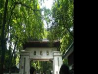 继重庆后，长沙成为新晋“网红城市”！网友喊话：千万别把茶颜悦色喝贵了