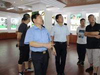 文登区委副书记隋同朋、中食集团领导来颐阳考察