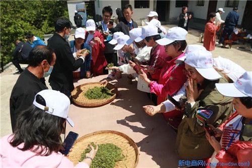 至美四月，不负春光——“2020理想千年茶乡探秘之旅”精彩集锦