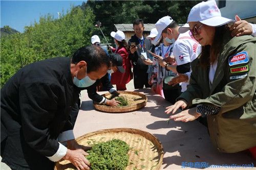 至美四月，不负春光——“2020理想千年茶乡探秘之旅”精彩集锦