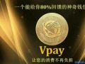 “VPAY虚拟货币”特大网络传销案四名主要头目被公诉