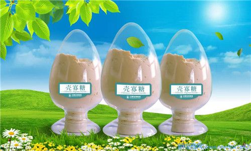 热烈祝贺卫康生物集团获批中国第一个壳聚糖酶食品添加剂生产许可证